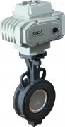 進(jìn)口電動蝶閥